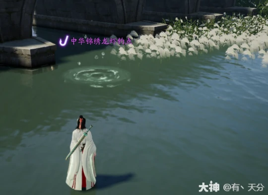 射雕钓鱼玩法攻略,射雕