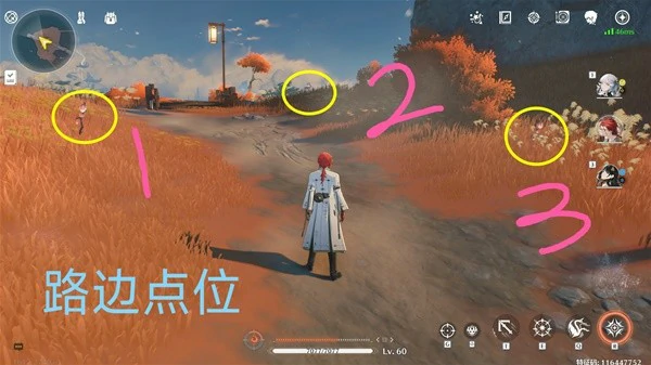 雀翎果位置,鸣潮
