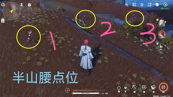 雀翎果位置,鸣潮
