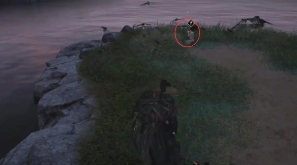 鸢影相随奇遇攻略,燕云十六声