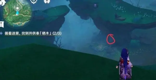 孔雀木幸归面具怎么获得,原神