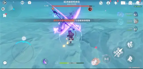 雷电将军真假身区分方法介绍,原神