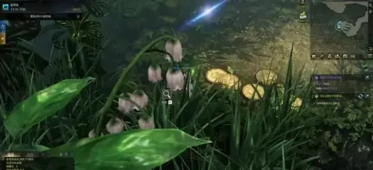 摩可可的伟大的暗号隐藏剧情攻略,命运方舟