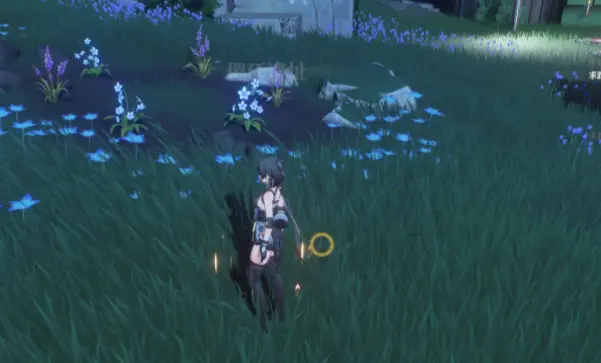 稷廷遗址隐藏宝箱位置一览,鸣潮