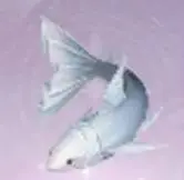 无限暖暖纱裙鱼怎么获得,无限暖暖