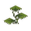 我的世界小型垂滴叶有什么用,我的世界