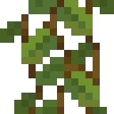 我的世界洞穴藤蔓有什么用,我的世界