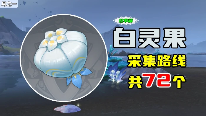 白灵果采集路线,原神
