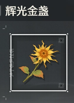 不死的角斗士任务攻略,鸣潮