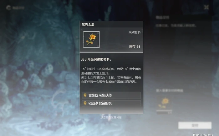 不死的角斗士任务攻略,鸣潮