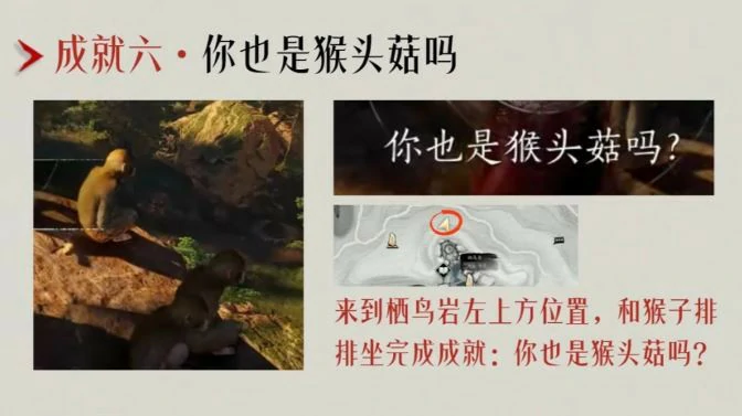 你也是猴头菇吗成就攻略,燕云十六声