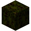 诡厄巫法朽木装饰方块合成表大全,我的世界