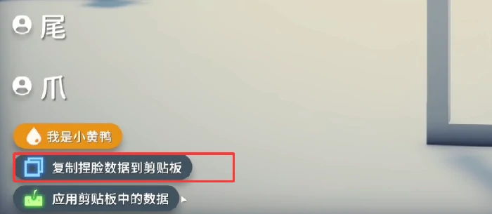 捏脸数据怎么导入