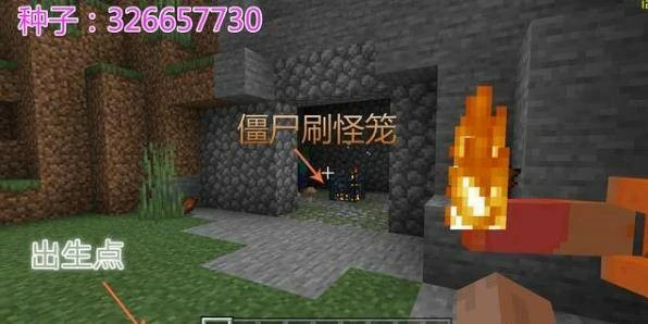 最大村庄种子2026,我的世界