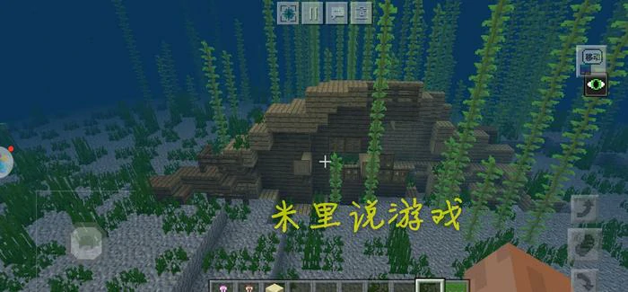海底神殿种子码2026,我的世界