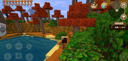 红树森林地形码2026