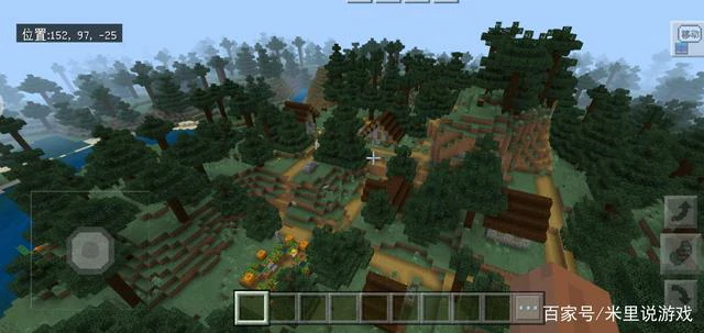 针叶林种子码2026,我的世界