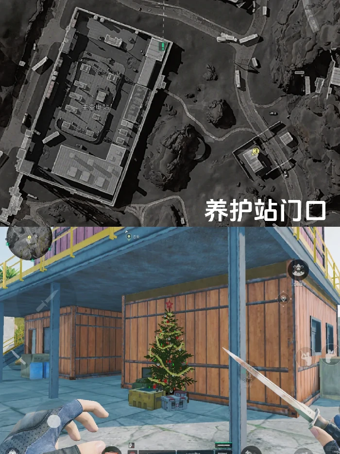 平安树在哪,三角洲行动