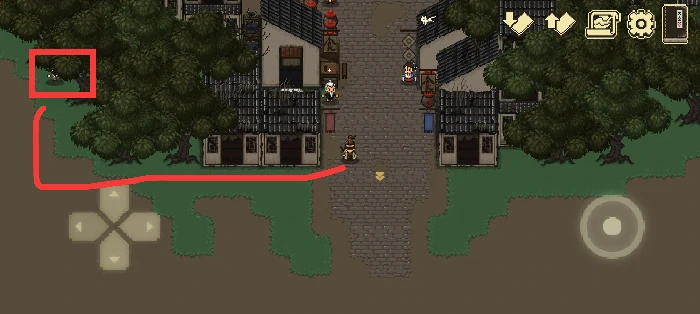 新手开局保姆级教程