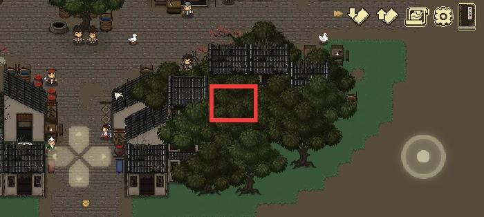 新手开局保姆级教程