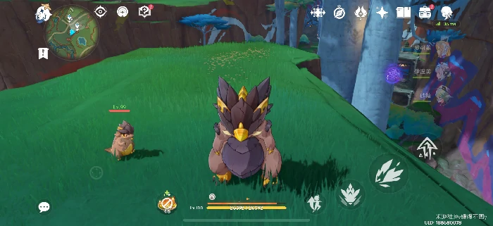 纳塔98%隐藏宝箱位置分享