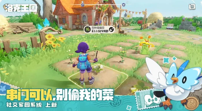 双风墙毒队介绍