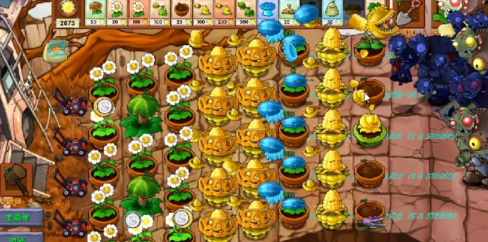 金银玉米投手介绍