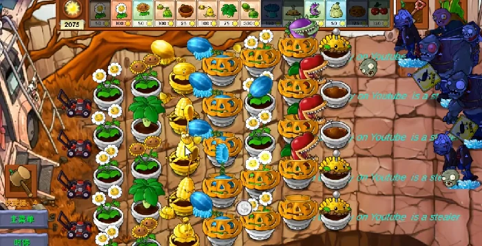 金银系列植物一览