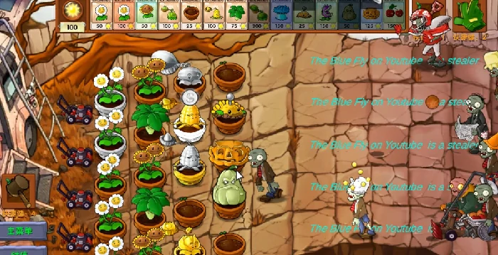 金银系列植物一览