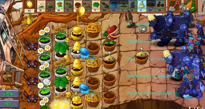 金银系列植物一览