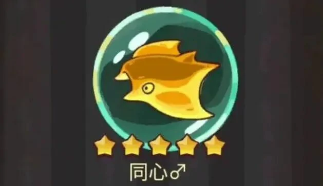 最全金鱼兑换指南