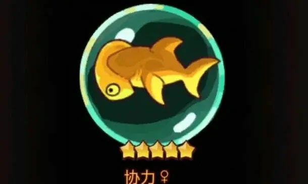 最全金鱼兑换指南