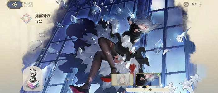 穿透伤害角色简评