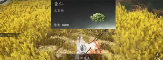 滹沱麦子相关成就获取方法