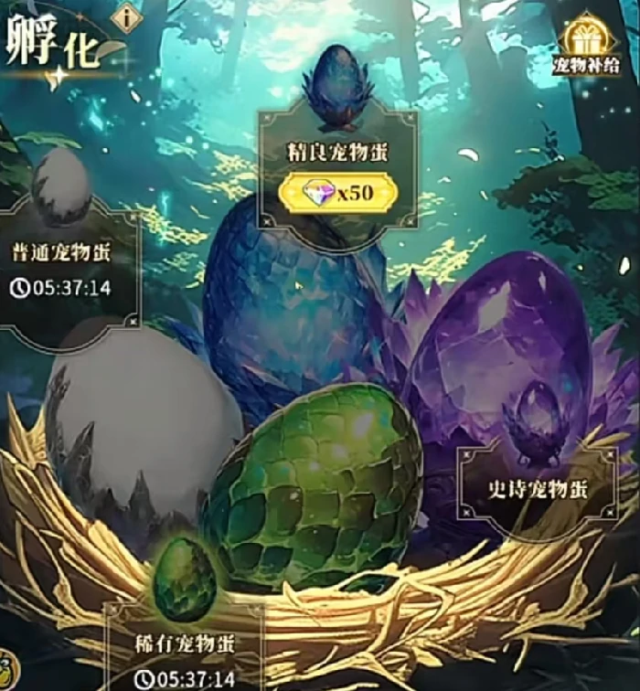 宠物系统玩法介绍