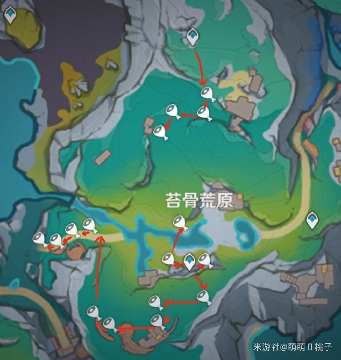 夏槲果采集位置