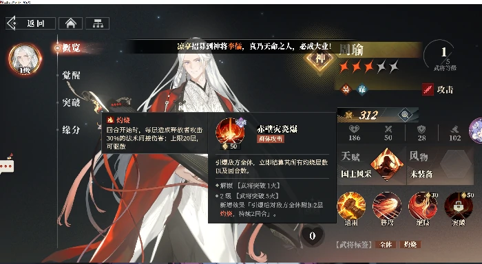 新手四大阵容推荐