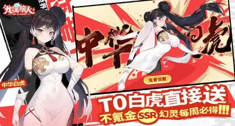 白虎阵容搭配攻略