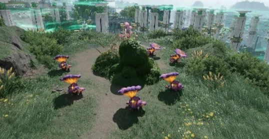 幸运萝卜功能介绍