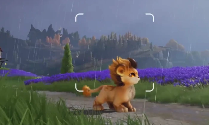 宠物二选一攻略