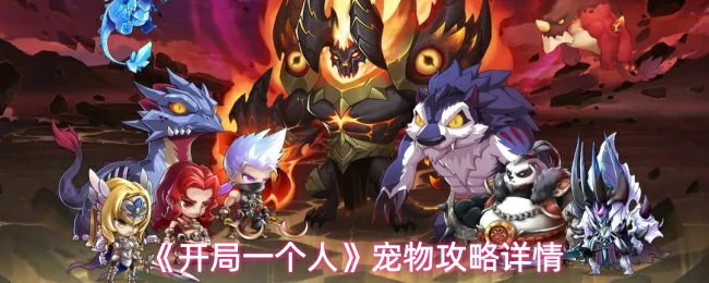 宠物攻略详情