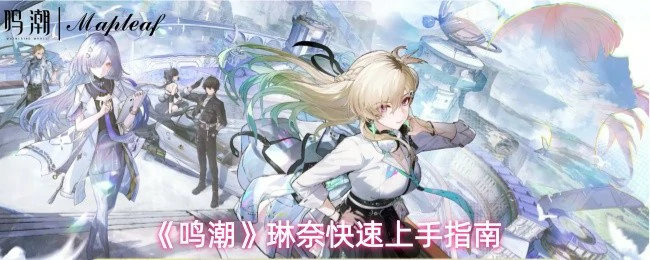 琳奈快速上手指南