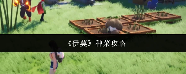 种菜攻略