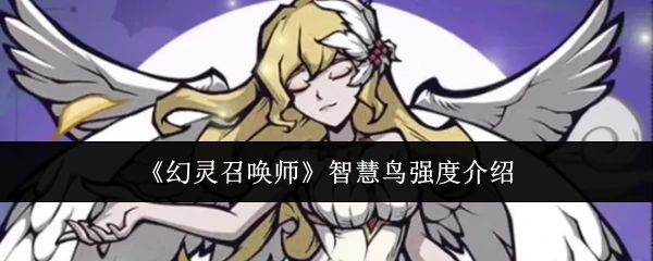 智慧鸟强度介绍