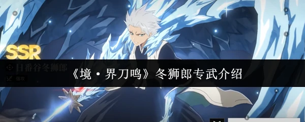 冬狮郎专武介绍