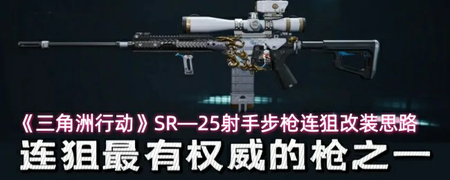 SR—25射手步枪连狙改装思路