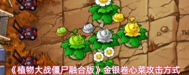 金银卷心菜攻击方式