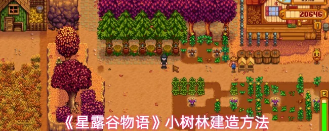 小树林建造方法