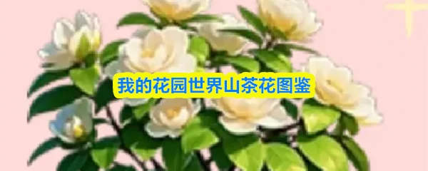 花园世界绝美山茶花超全图鉴 解锁山茶万千隐藏风姿