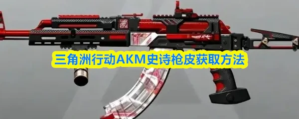 AKM史诗枪皮